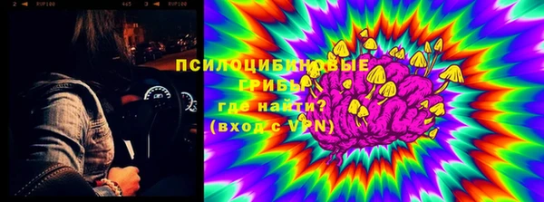 ешки Алексин