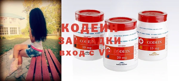 ешки Алексин