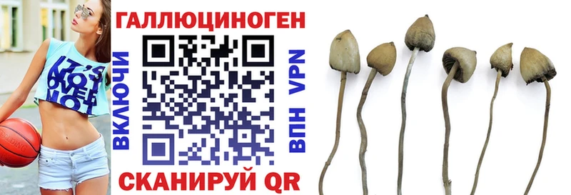 закладка  Владивосток  МЕГА   Псилоцибиновые грибы мухоморы 