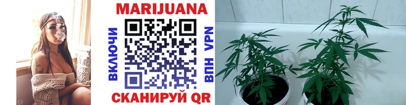 Канабис Bruce Banner  Владивосток 